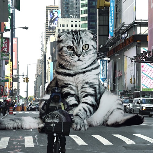 A giant cat photoshopped into New York City